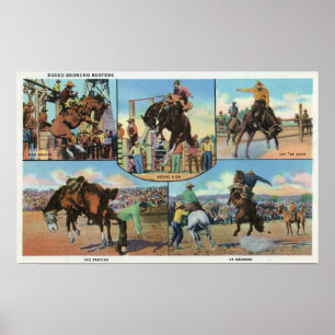 Poster Ideias de OregonScenic de imbeceis de bronco do