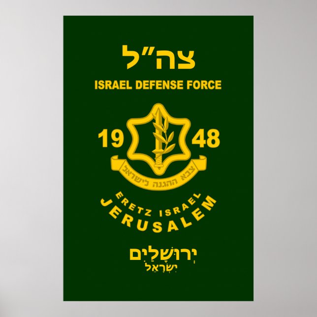 Poster IDF - Programa Voluntário Sar El (Frente)