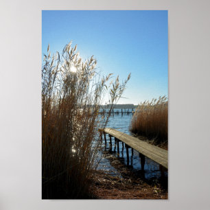 Poster Idílio junto ao lago