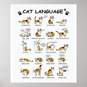 Poster Idioma de Gato, Gatinho Gato Engraçado, Ideia de G