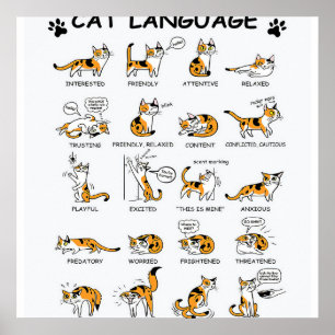 Poster Idioma de Gato, Gatinho Gato Engraçado, Ideia de G