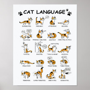 Poster Idioma de Gato, Gatinho Gato Engraçado, Ideia de G