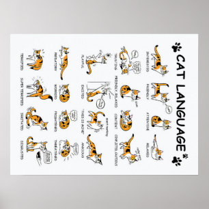Poster Idioma de Gato, Gatinho Gato Engraçado, Ideia de G