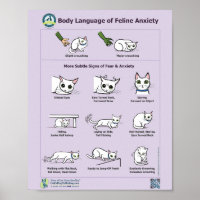 Idioma do Corpo da Ansiedade Felina