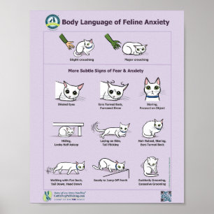 Poster Idioma do Corpo da Ansiedade Felina
