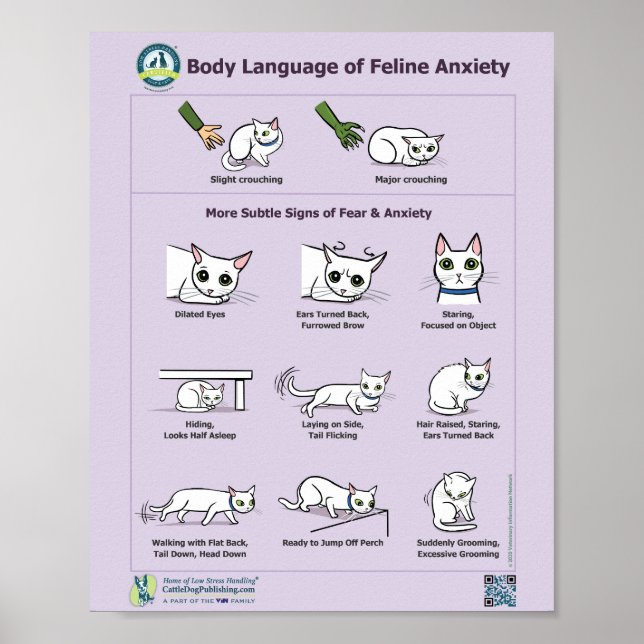 Poster Idioma do Corpo da Ansiedade Felina (Frente)