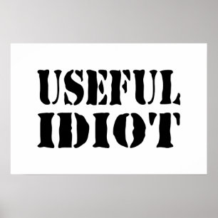 POSTER IDIOTA ÚTIL