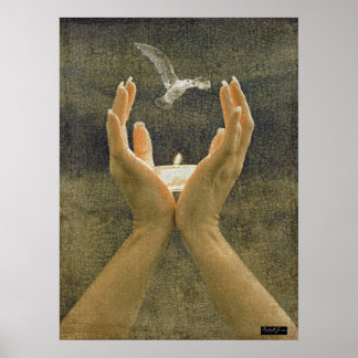 Poster Ignite sua chama e sua Paixão vai voar!