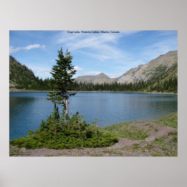 Pôster Ilha (Frente)