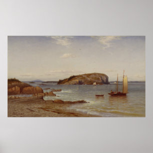 Poster Ilha calva 1868 do porco-