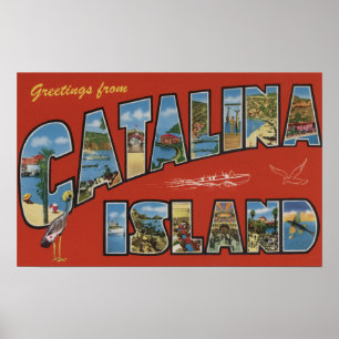 Pôster Ilha de Catalina, Califórnia - grande cena da