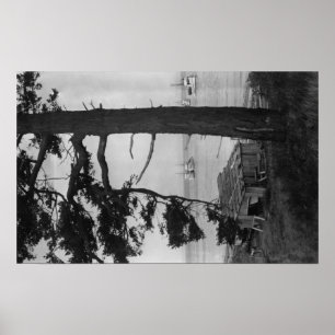 Poster Ilha de López, WA - barcos de pesca na baía