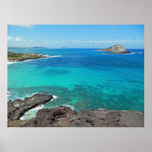 Poster Ilha do coelho