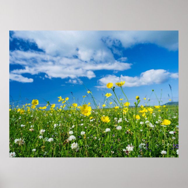 Poster ilha do Uist do Sul | Escócia (Frente)