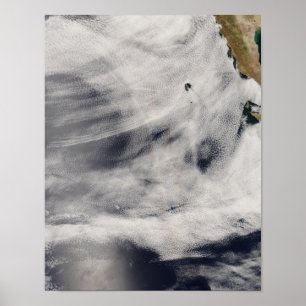 Pôster Ilha Guadalupe