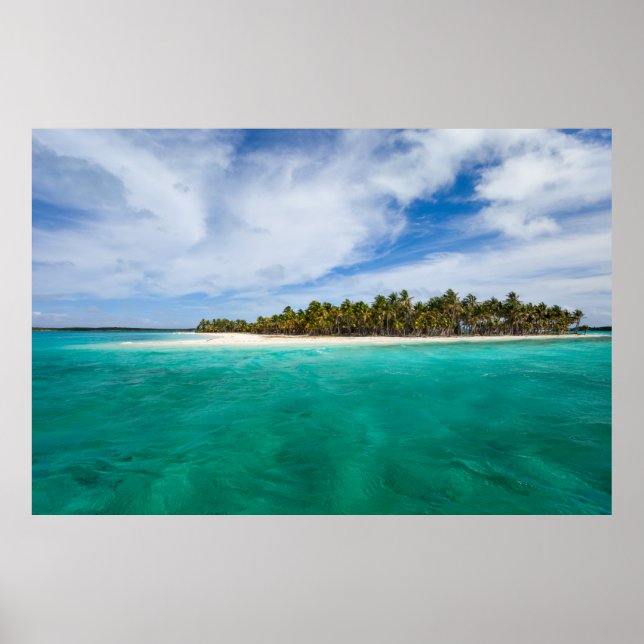 Pôster Ilha Tropical (Frente)