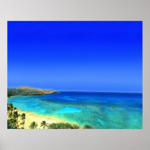 Pôster Ilha Tropical