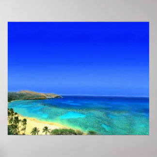 Pôster Ilha Tropical