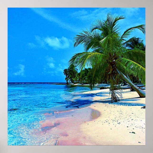 Poster Ilha Tropical Com Palmeiras E Praia Sandy (Frente)