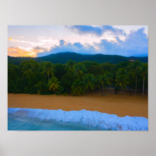 Poster Ilha Tropical Guadeloupe Ocean Island Palm Beach S