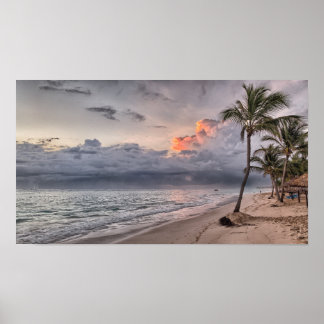 Poster Ilha Tropical Palm Tree Beach