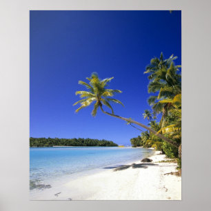 Poster Ilhas Cook de praia com Palm