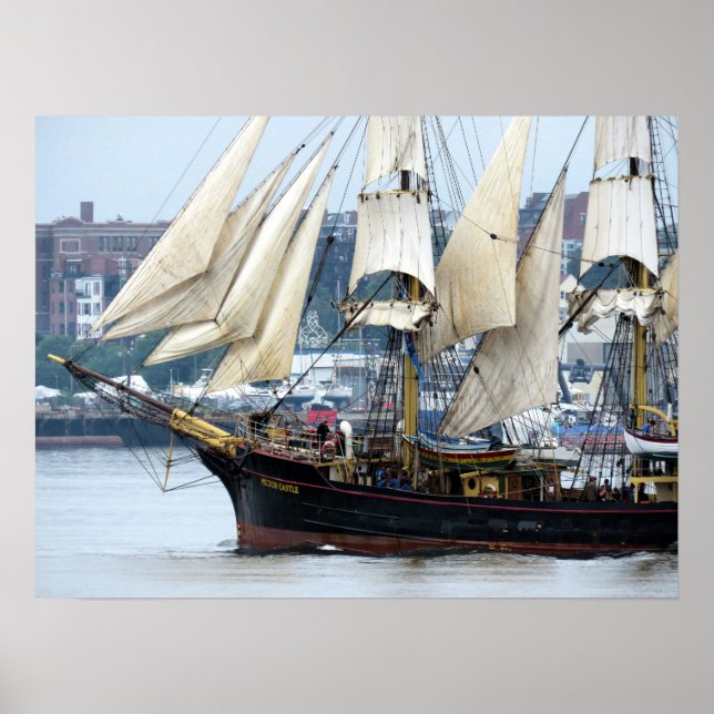 Poster Ilhas Cook do Castelo Picton (Frente)