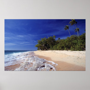 Pôster Ilhas Fiji, Tavarua. Esta praia em Tavarua.