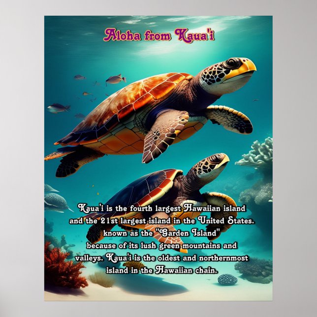 Poster Ilhas Havaianas Kauai Aloha (Frente)