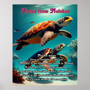 Poster Ilhas Havaianas Molokai Aloha