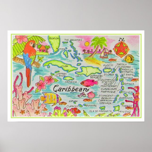 Poster Ilhas Ilustradas Coloridamente Impressas (Frente)