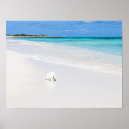 Poster Ilhas Turcas e Caicos