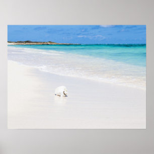 Poster Ilhas Turcas e Caicos