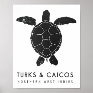 Poster Ilhas Turcas e Caicos Tartaruga Marinha Surf Ocean