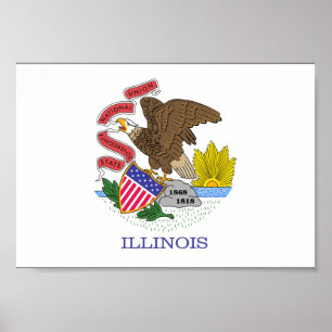 Pôster Illinois Flag