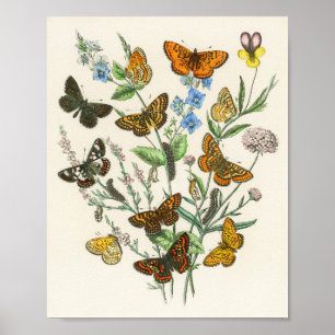 Poster Illustração 1 das Borboletas e Flores