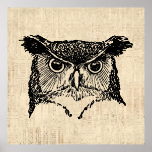 Poster Illustrated Owl Art