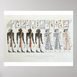 Poster Illustrations of hieroglyphics from the Tombs of t