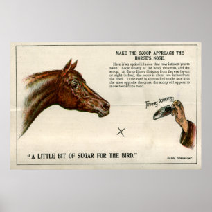 Pôster Ilusão óptica 1896