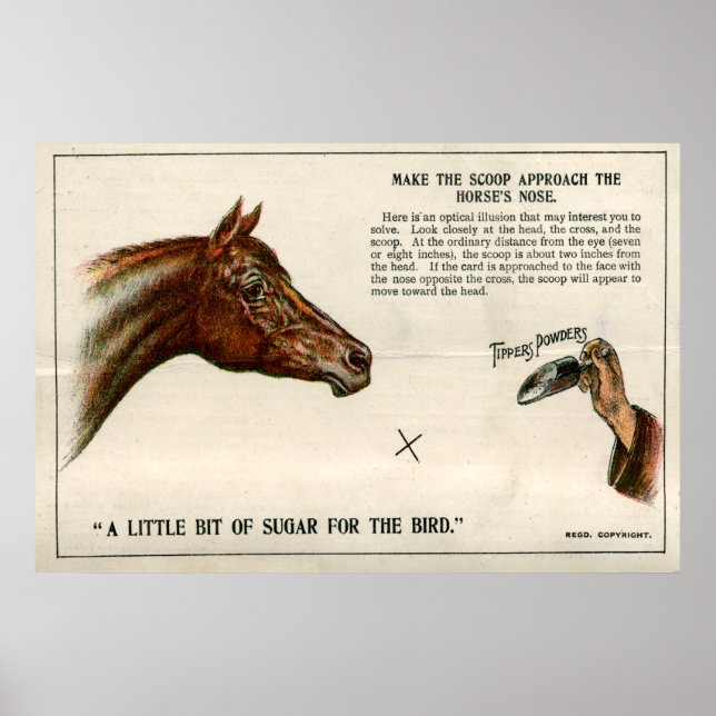 Pôster Ilusão óptica 1896 (Frente)