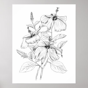 Poster ilustração a preto e branco da flor de hibisco