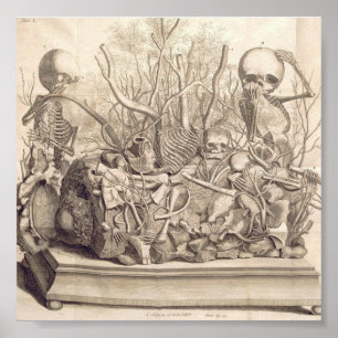 Poster Ilustração Anatômica do Vintage