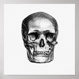 Poster Ilustração Anatômica Vintage