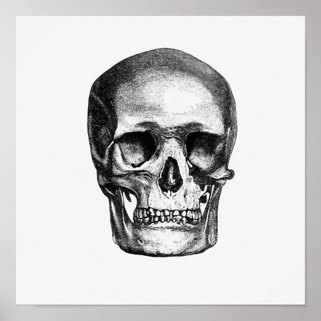 Poster Ilustração Anatômica Vintage (Frente)