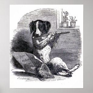 Pôster "Ilustração Antiga de Cachorro Tocando Flauta"