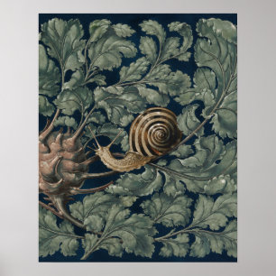 Poster Ilustração Antiga de Caracol Botânico Art Nouveau