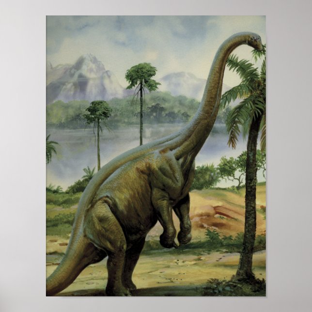 Pôster Ilustração Ativa de Apatossauro (Brontosaurus) (Frente)