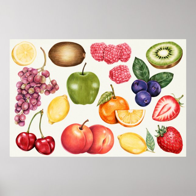 Poster Ilustração Botânica (Frente)