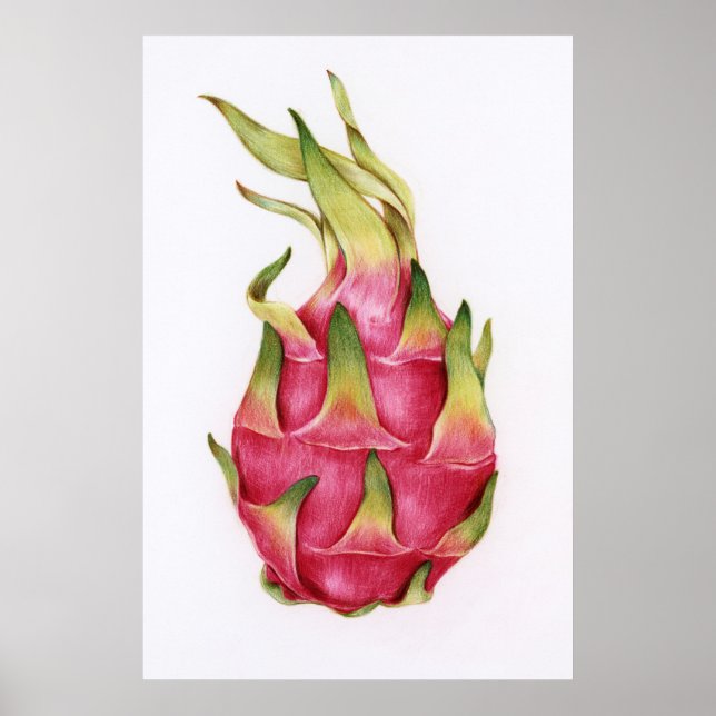 Poster Ilustração Botânica (Frente)