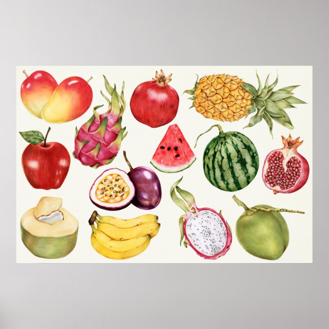 Poster Ilustração Botânica (Frente)